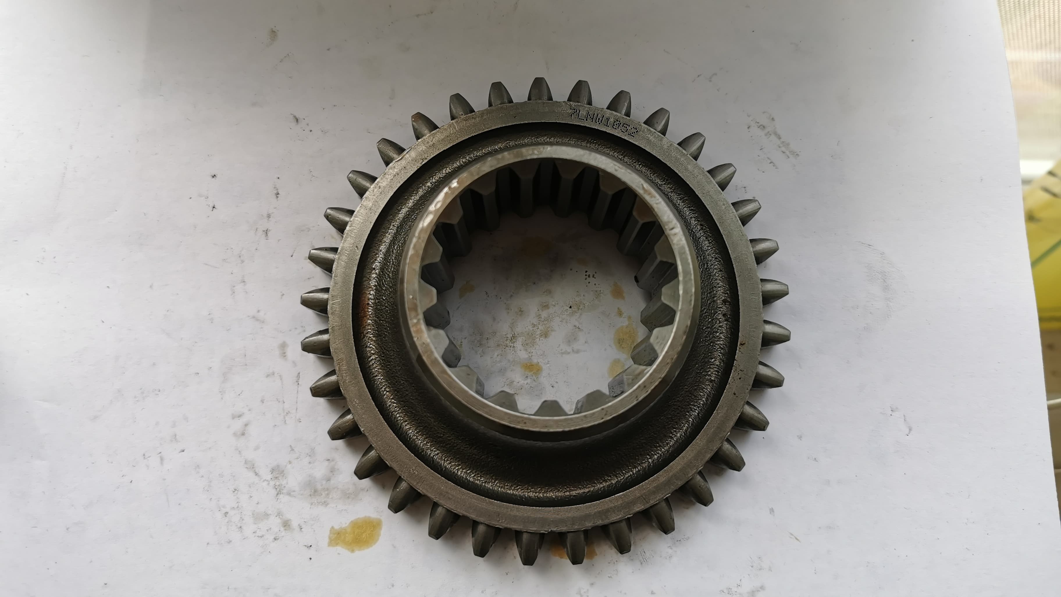 ZUPCANIK Z=33 99030266
