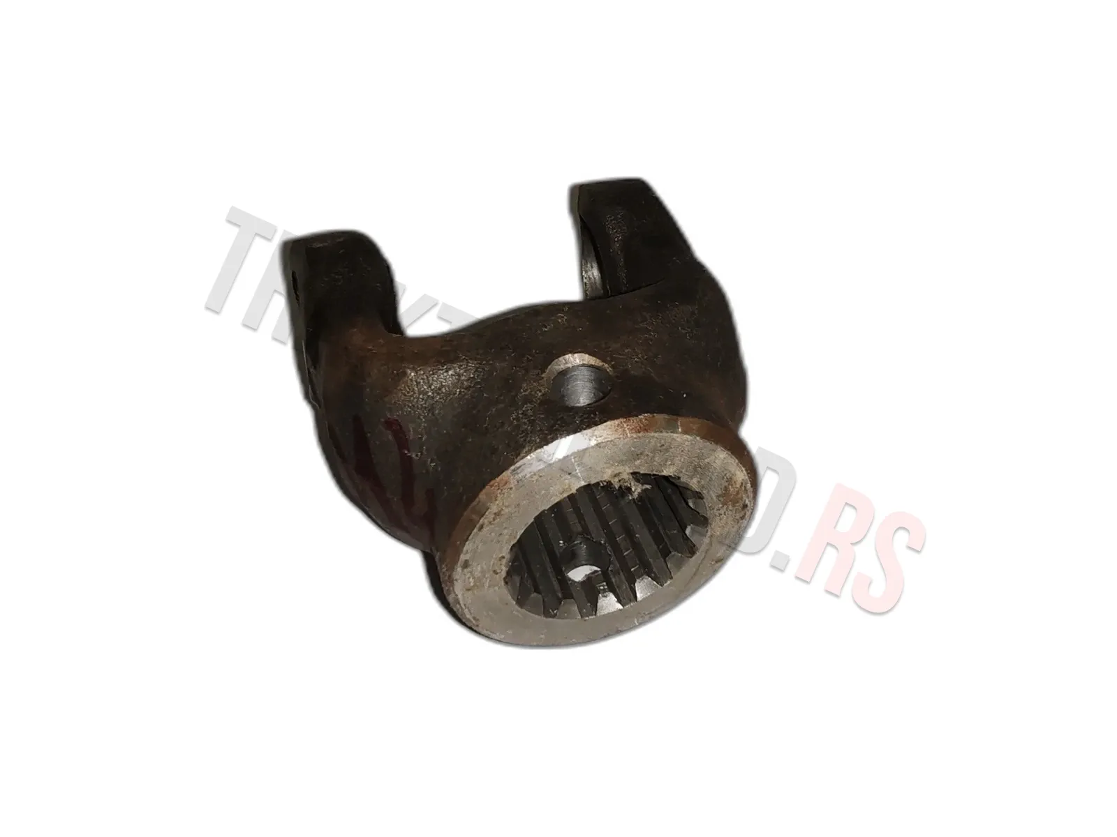 KARDANSKA VILA 12.10.10